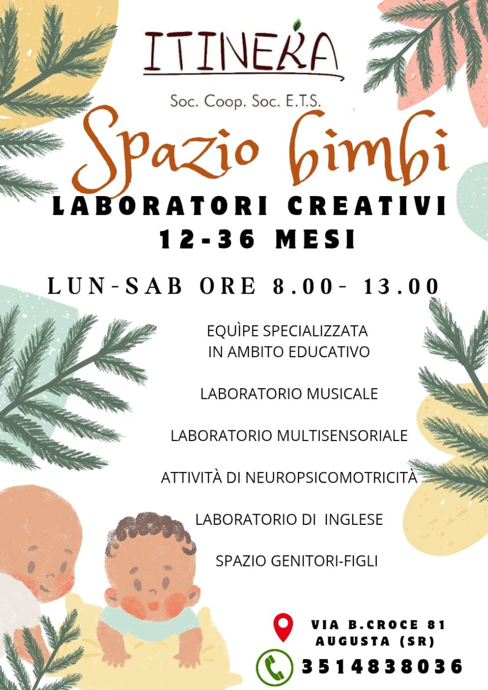 WhatsApp Image 2025-02-03 at 11.28.16